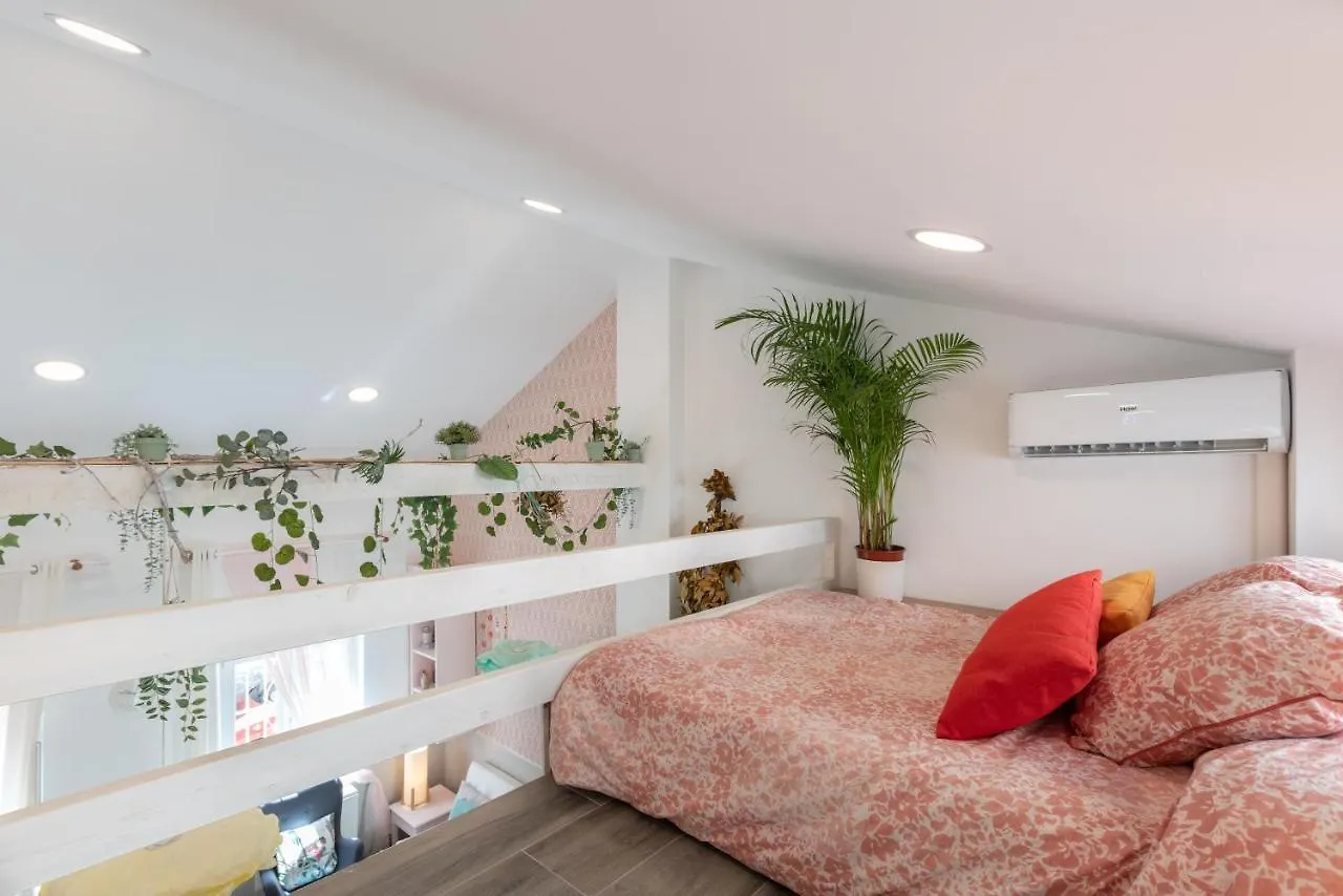 Casa Salamandra Malaga